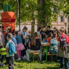 Živahno festivalsko dogajanje: Napovedujemo pester program letošnjih delavnic!